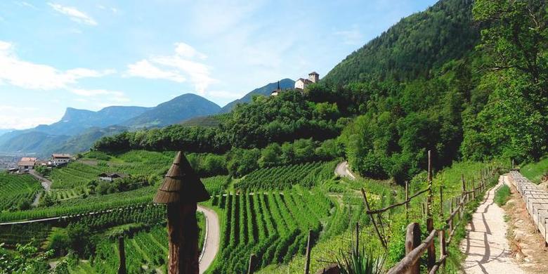 Wide meran gardasee weingarten 1 2018 02 06 export 600 800